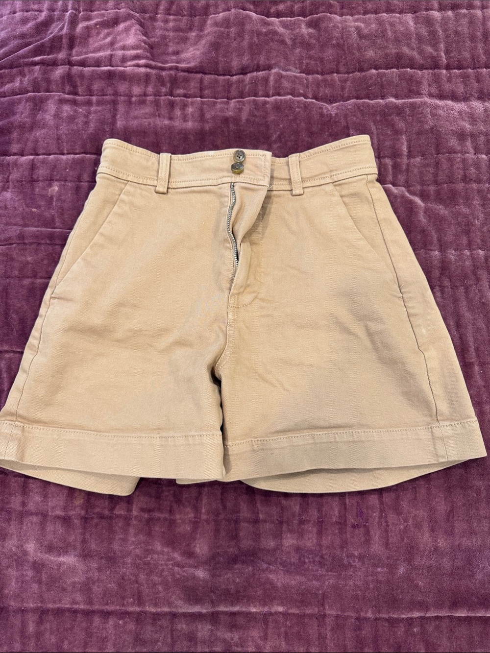 Everlane the Way High Twill Short